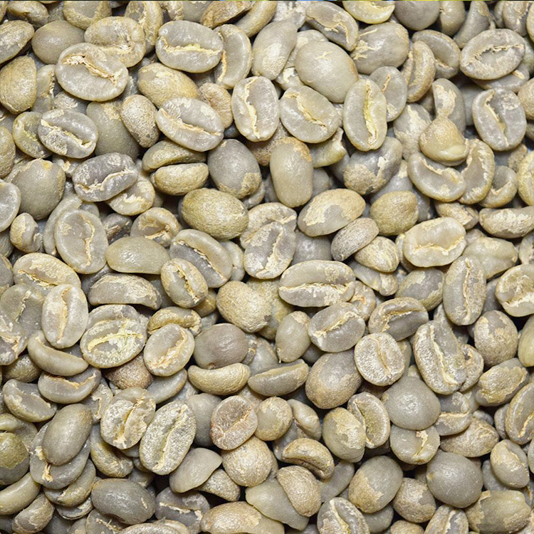 Laos Washed Typica green coffee bean BEAN MODA